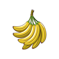 Bunch of ripe yellow bananas with green stems illustrated and isolated on white background isolated on transparent background