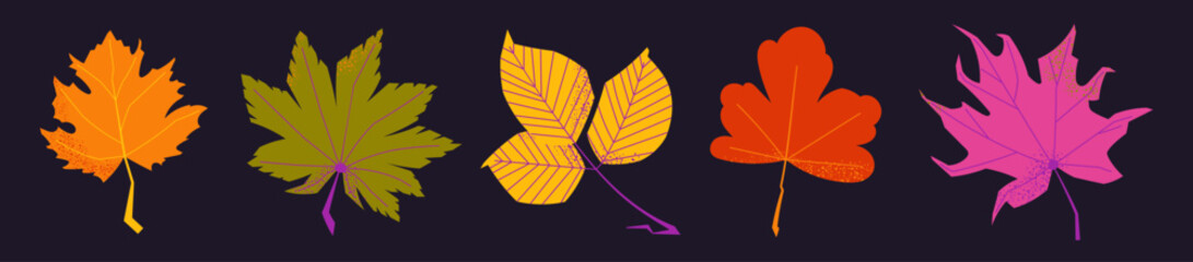 Set of five decorative autumn leaves with texture on dark background. Includes maple, chestnut, poplar, grapevine and sycamore. Flat vector fall foliage for seasonal design