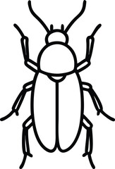 Obraz premium ambrosia beetle line arts with white background