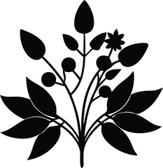  botany silhouette vector