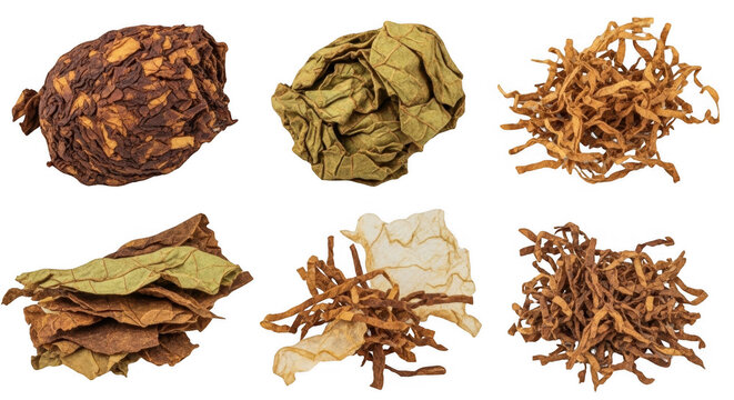 Variety of Dried Tobacco Leaves for Crafting and Flavoring in Tobacco Products, isolated on a transparent background