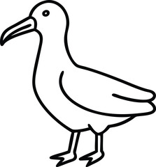  albatross line arts with white background 