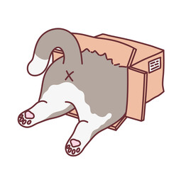 Cute cat climbing inside the box vector illustration. Cute cats series.