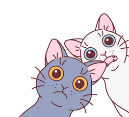 Two cartoon cats looking surprised. Illustration can be used for corner design. Cute cats series.