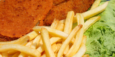 dish with crispy yellow fries and the breaded cutlets and green salad leaves