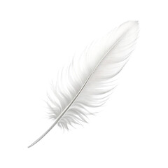 Obraz premium Single white feather isolated on transparent background