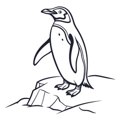 penguin vector illustration