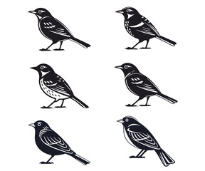 Collection of six stylized black and white bird illustrations on a white background