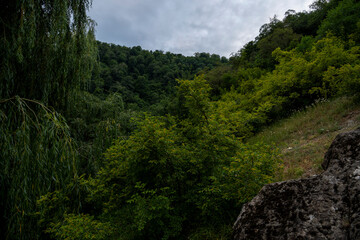 Forested hills and valley under clouds