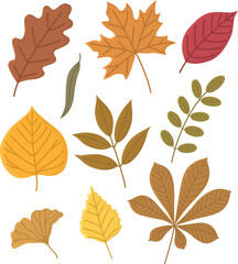 Set of colorful autumn leaves. Hand drawn bright illustration isolated on white.