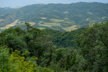 Forested hills and valley under clouds