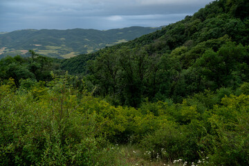 Forested hills and valley under clouds