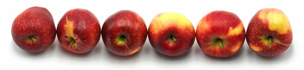 Fresh red apples arranged in a line showcasing their vibrant colors and textures on a plain white background