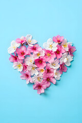 Delicate Floral Heart Arrangement on Light Blue Backdrop A Symbol of Affection and Beauty Created with Pink and White Blossoms for a Fresh and Vibrant Aesthetic