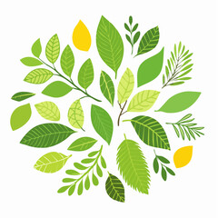 A Collection of Green Leaves: An eye-level, charming, and artful collection of leaves forming a round shapes, celebrating the vibrant spirit of nature in a creative way.