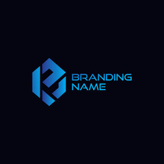 Branding Design Company Logo Template