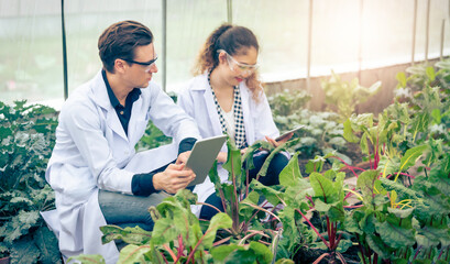 Portrait of Man and Woman agricultural researcher holding tablet while working on research at plantation in industrial greenhouse
