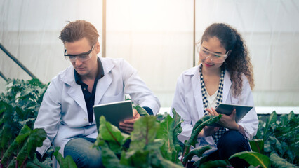 Portrait of Man and Woman agricultural researcher holding tablet while working on research at plantation in industrial greenhouse
