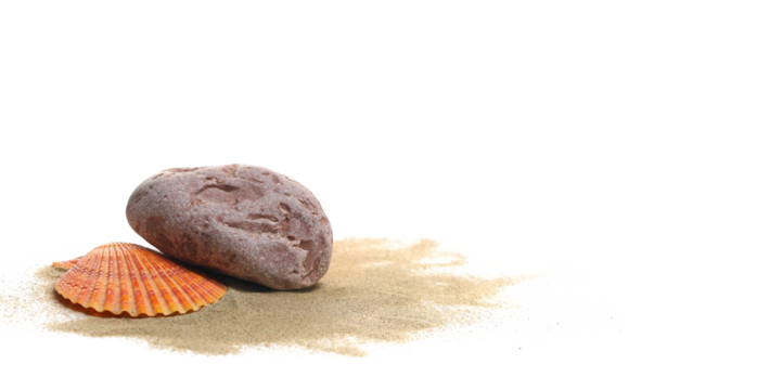  Sea shell and stone in sand isolated on white, side view