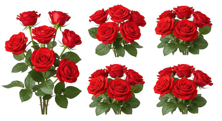 Stunning and Vibrant Arrangement of Handpicked Red Roses Surrounded by Lush Green Foliage Perfect for Celebrations and Thoughtful Gifts, isolated on a transparent background