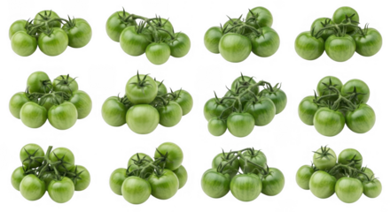 A Group of Fresh Green Tomatoes Showcasing Their Natural Vibrancy and Healthy Appeal in a Rustic Farm Setting, isolated on a transparent background