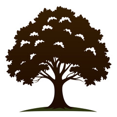 tree silhouette vector