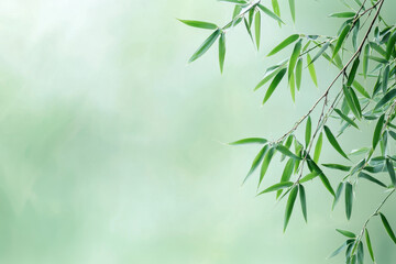 Fototapeta premium Bamboo leaves gently sway against soft green background, creating serene and calming atmosphere