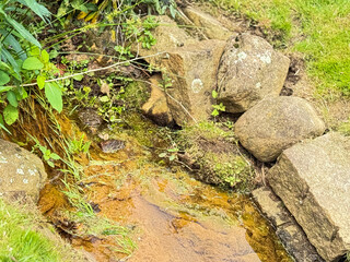 Shallow garden stream with rocks, moss, and flowing water