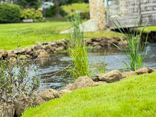 Grassy stream bank with reeds and stones near wooden bridge in park