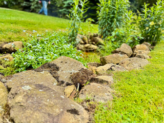 Garden border made of natural stones with green grass and plants