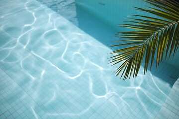 Sunlight creates shimmering patterns on the surface of a clean blue tiled swimming pool with a palm frond casting a shadow