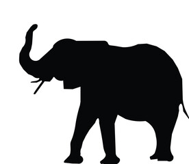 A silhouette of a elephant