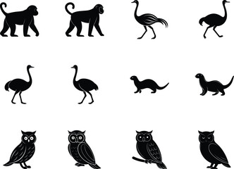 Twelve diverse animal silhouettes, including monkeys, ostriches, otters, and owls, are presented on white