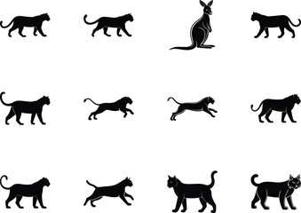 Black silhouettes depict big cats in various poses, including a kangaroo, on a transparent background