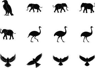 Black silhouettes show an eagle, elephants, and ostriches walking on a transparent background