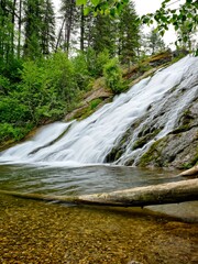  Log leads into the water at Douglas Falls.