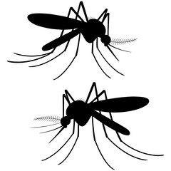 Two mosquito silhouettes with detailed proboscis