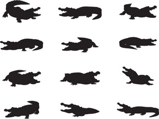 Collection of Alligator Silhouettes isolated on white background