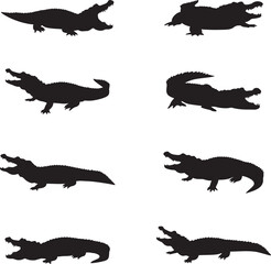 Collection of Alligator Silhouettes isolated on white background