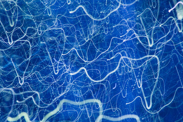 Intentional Camera Movement abstract 