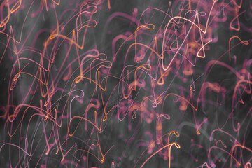 Intentional Camera Movement abstract 