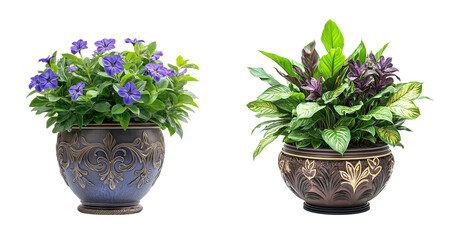 A beautiful ornamental garden pot with green isolated on white or transparent background PNG