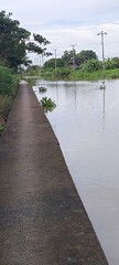Flooded rural road with a concrete walkway alongside calm water and utility poles under an overcast...