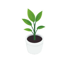 Simplified yet Iconical House Plant Design