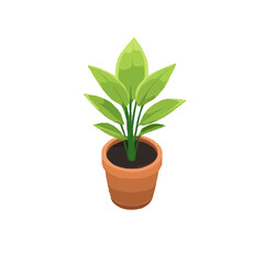 Detailed Plant In a Pot