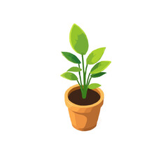 Detailed House Plant 