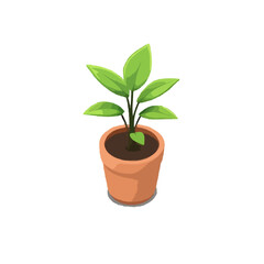 Detailed, Iconic House Plant
