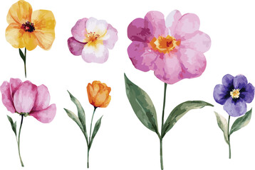 Obraz premium Watercolor illustration of vector colorful flower set. Perfect for invitation cards
