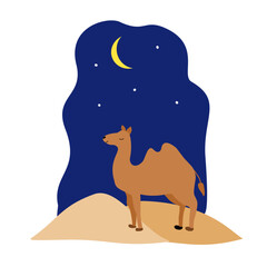 Camel in desert under crescent moon.. Night desert scene illustration