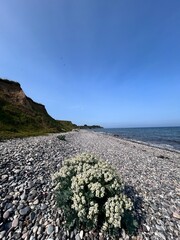 road to the sea